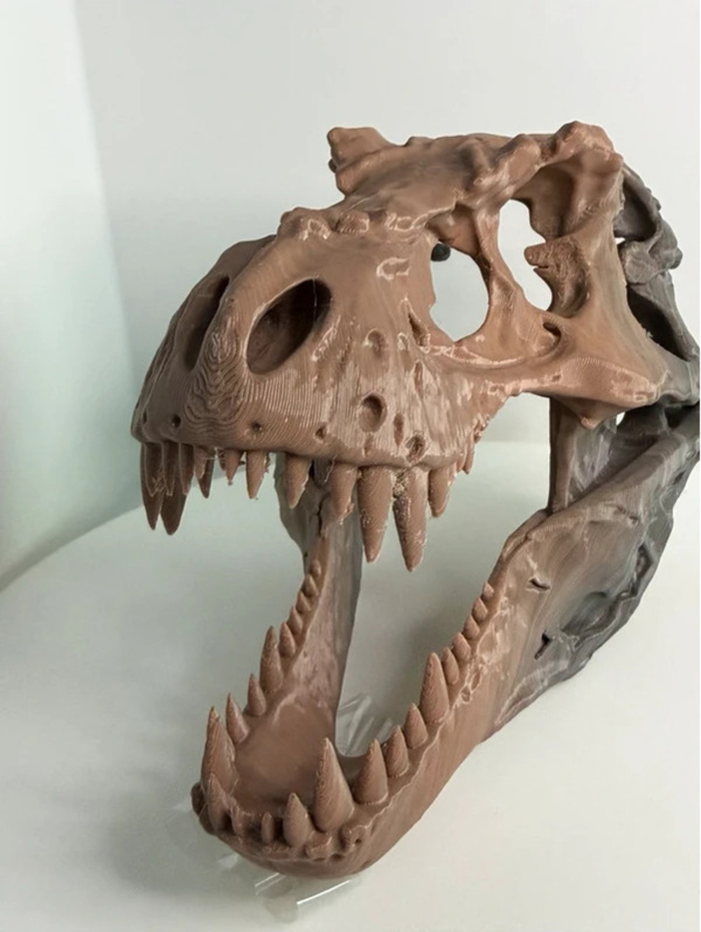 3D Printed T-Rex Skull Display – Dinosaur Fossil Replica Decor – Approx. 7” Long